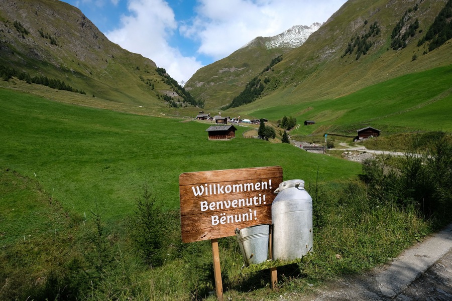 Malga Fane - Valles - Rio di Pusteria - Val Pusteria