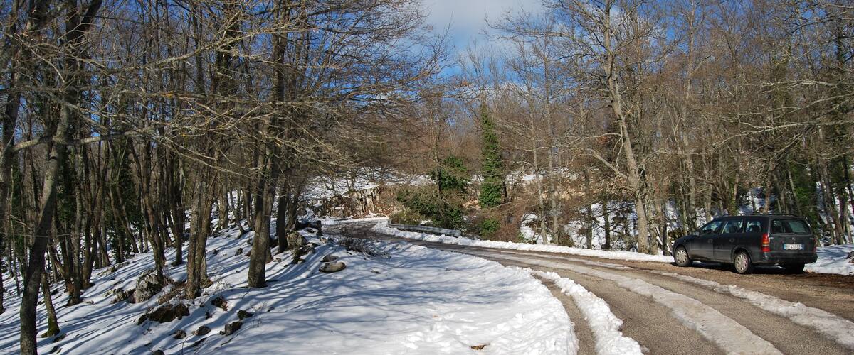 A snow-covered road winding through a forest with bare trees and a parked car.