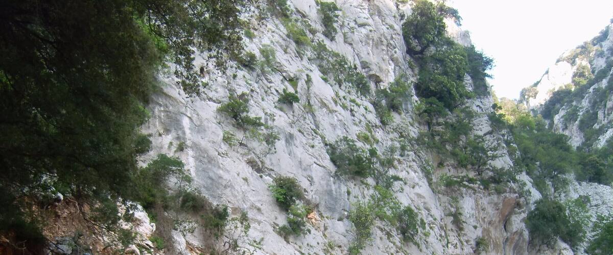A rocky mountain trail with cyclists and a steep cliff.