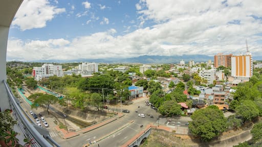 Neiva