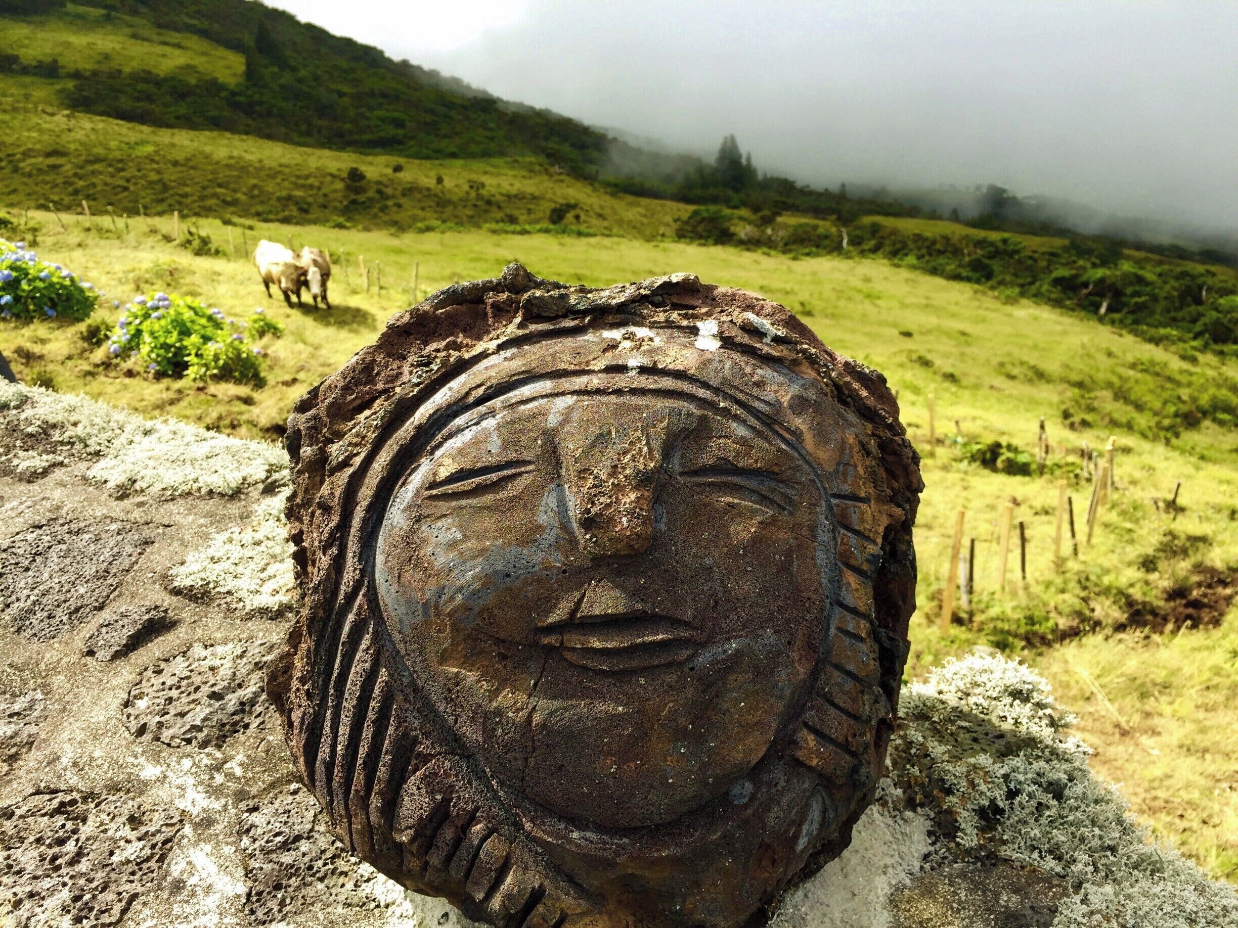 An impromptu road trip around Pico is a wonderful way to explore the island. While cutting across the center of the island along Route 2-2 (EN2), we stopped at Miradouro Corre Água and met this lovely lady. She was quite a mystery. What we like to think, is that she was carved out of basalt lava rock long ago, and her magical spirit looks out for the cows in the pastures below. #InStone #VolcanicRock #Mystery #PicoIsland #Azores