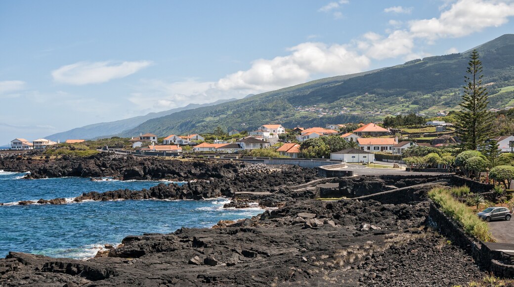 Coast of Pico island, Azores