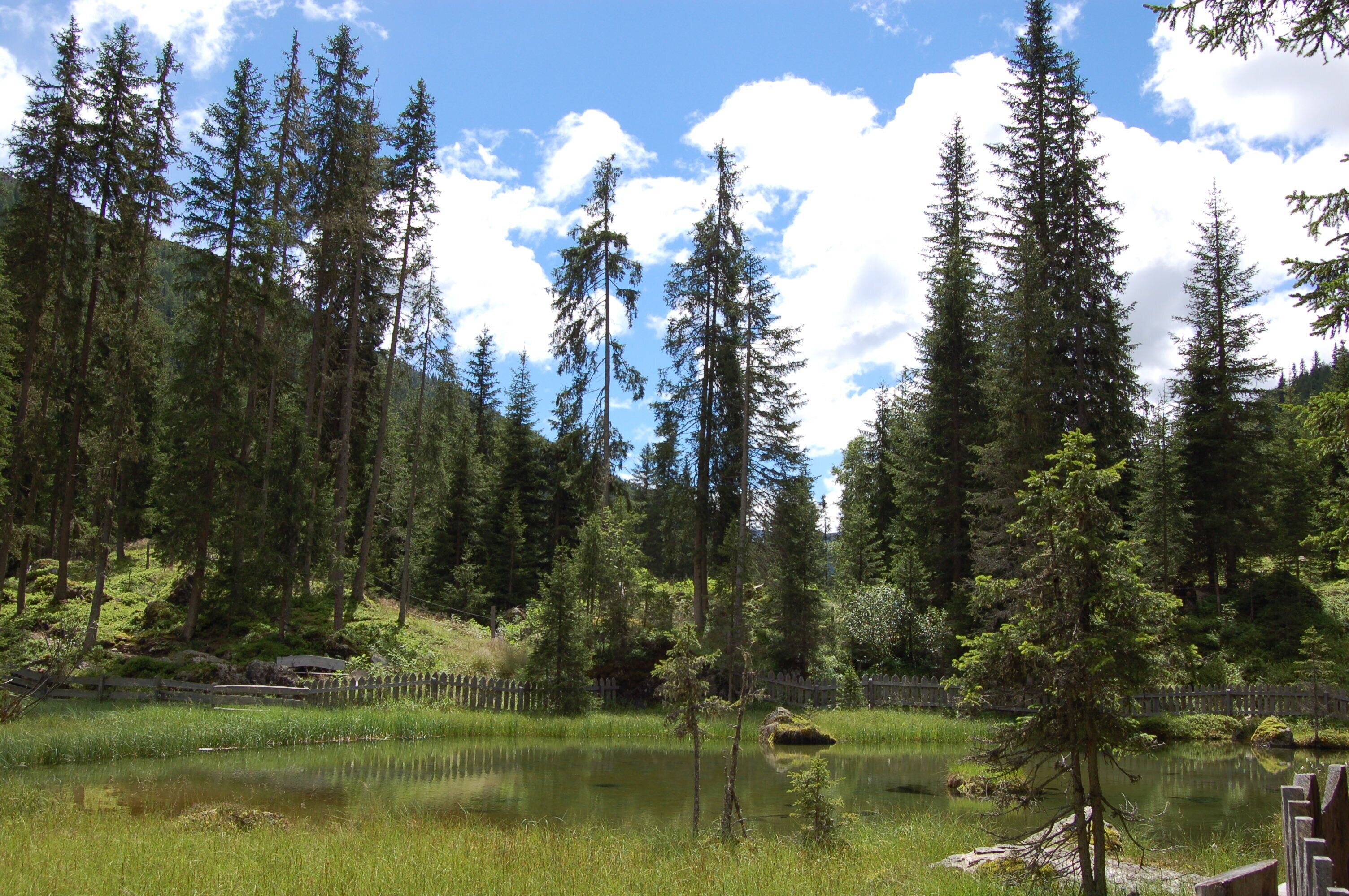 This image was uploaded as part of Wiki Loves Earth 2014.