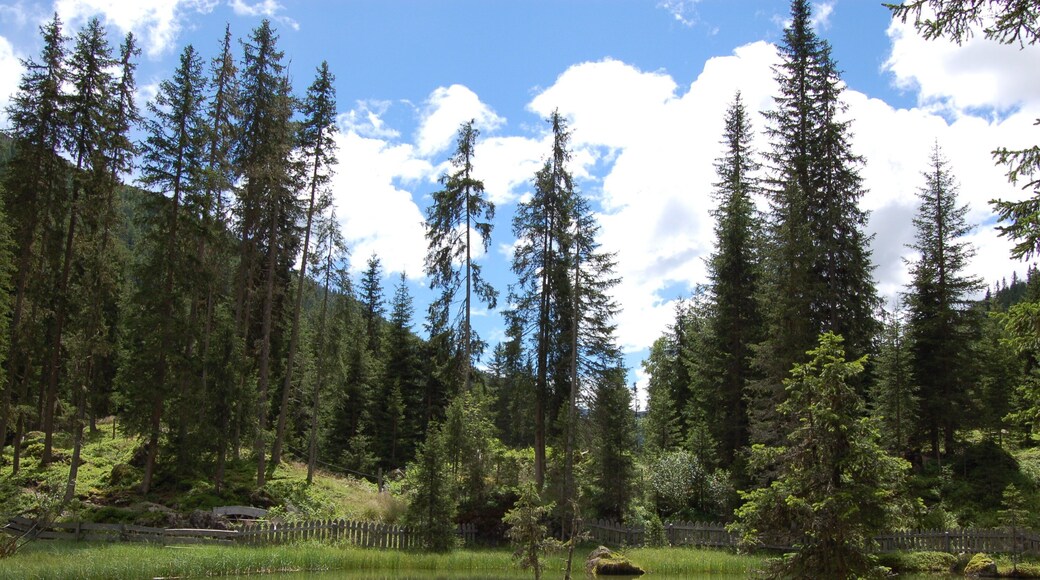 This image was uploaded as part of Wiki Loves Earth 2014.