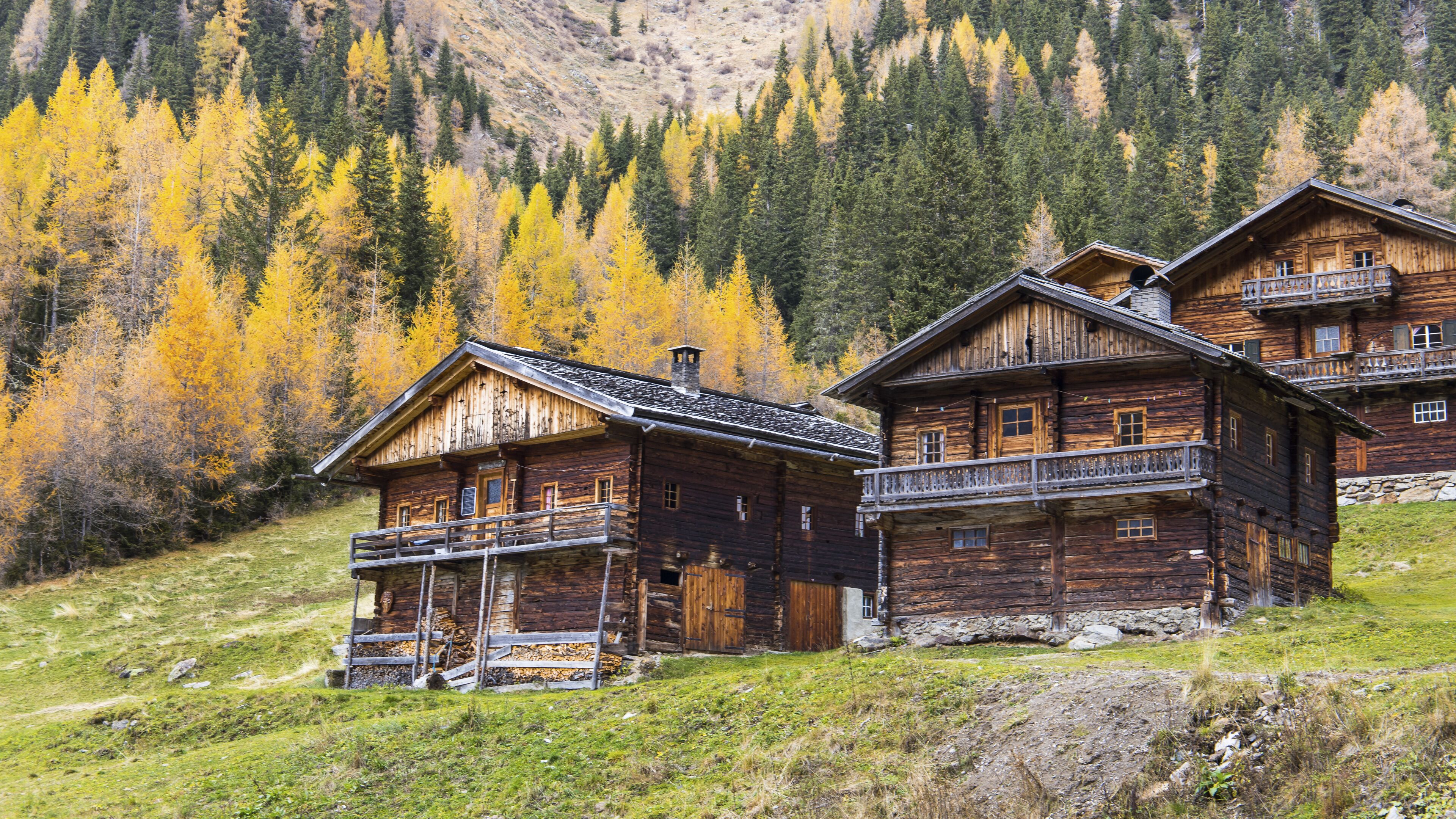 View of rustic wooden chalets nestled on a gentle green slope against a backdrop of autumn-hued trees, a scene of alpine serenity, Innervillgraten, Tyrol, Austria.