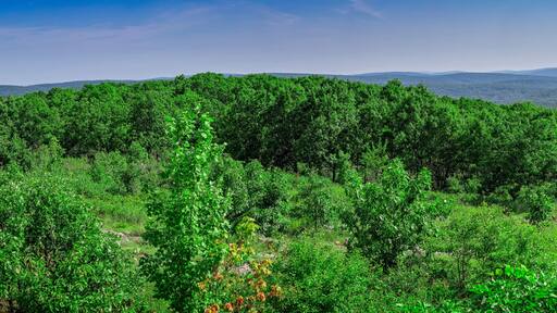 ウェスト プレーンズ