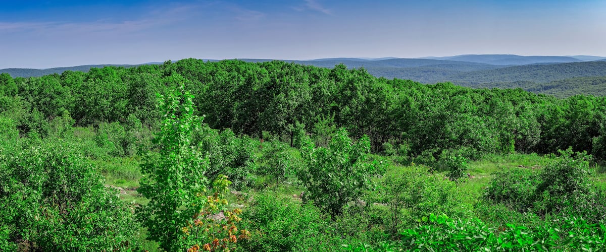 Panoramic View from Taum Sauk Mountain, in the Eastern Ozarks of Missouri