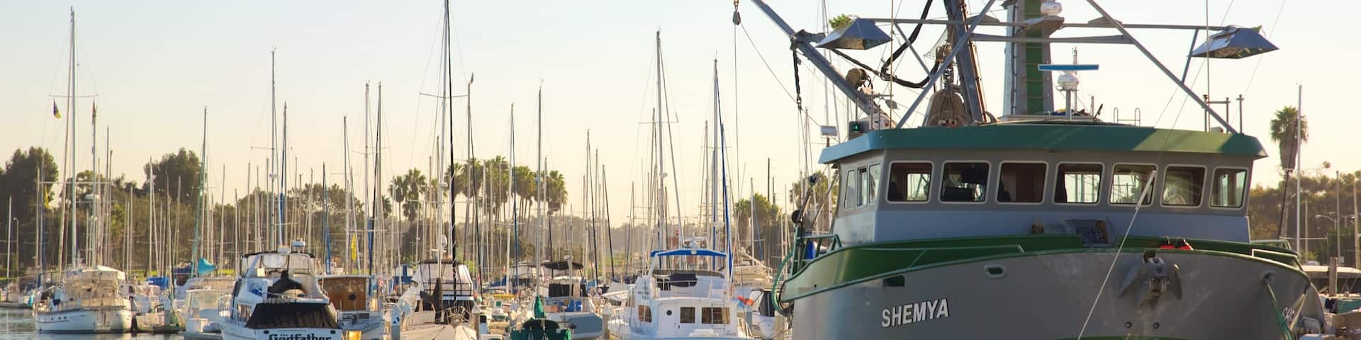 Ventura Harbor featuring a marina