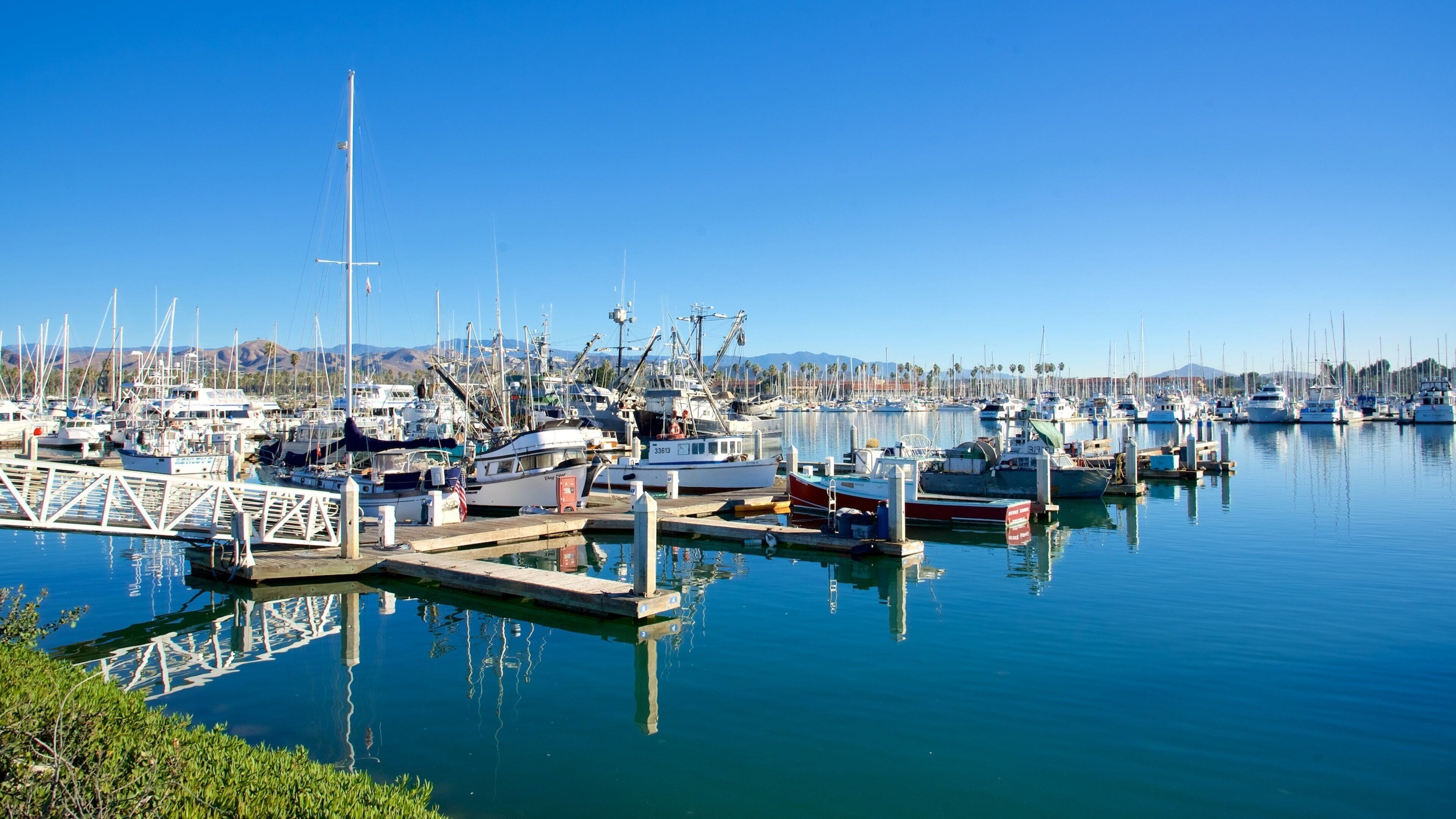 Ventura Harbor que incluye un club náutico