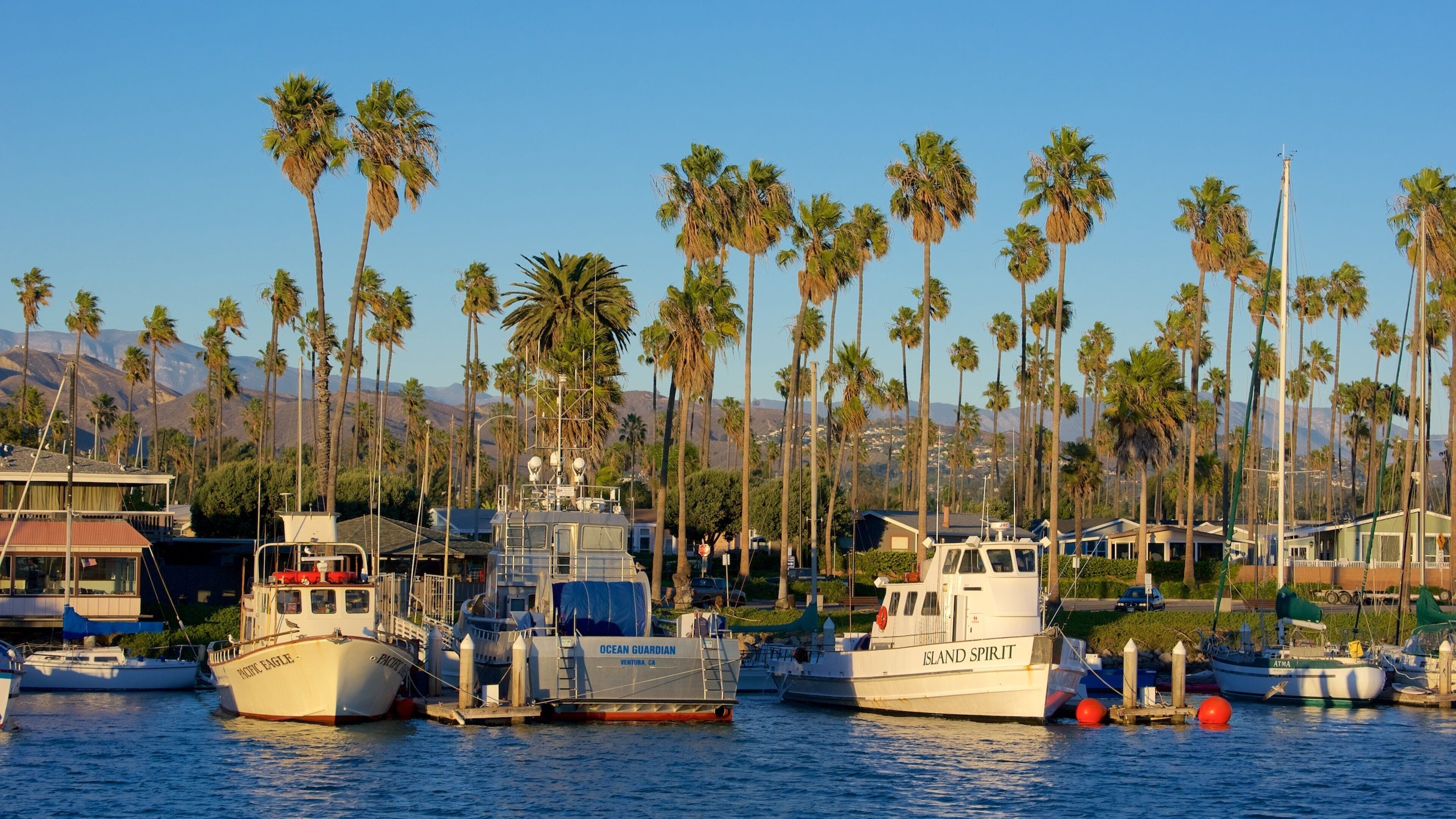 Ventura Harbor showing sailing and general coastal views