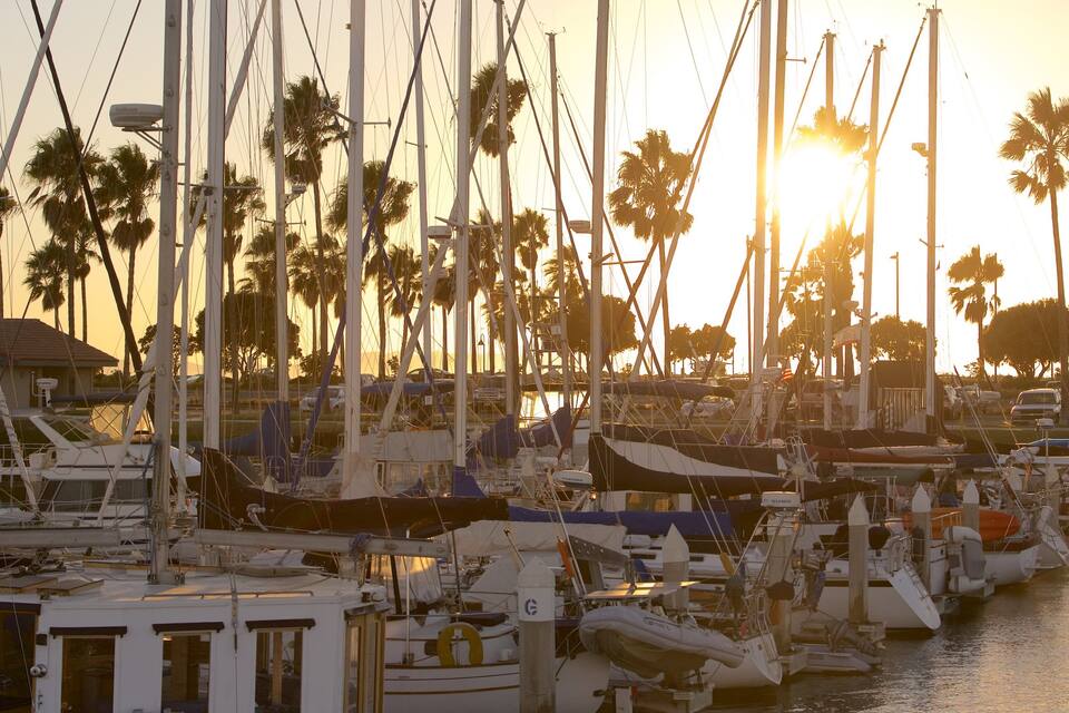 A marina with multiple boats docked, palm trees, and a sunset in the background.