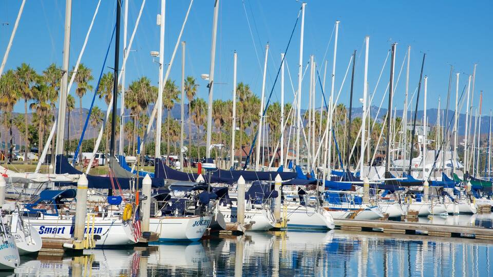 A marina with numerous sailboats docked, palm trees, and a clear blue sky.