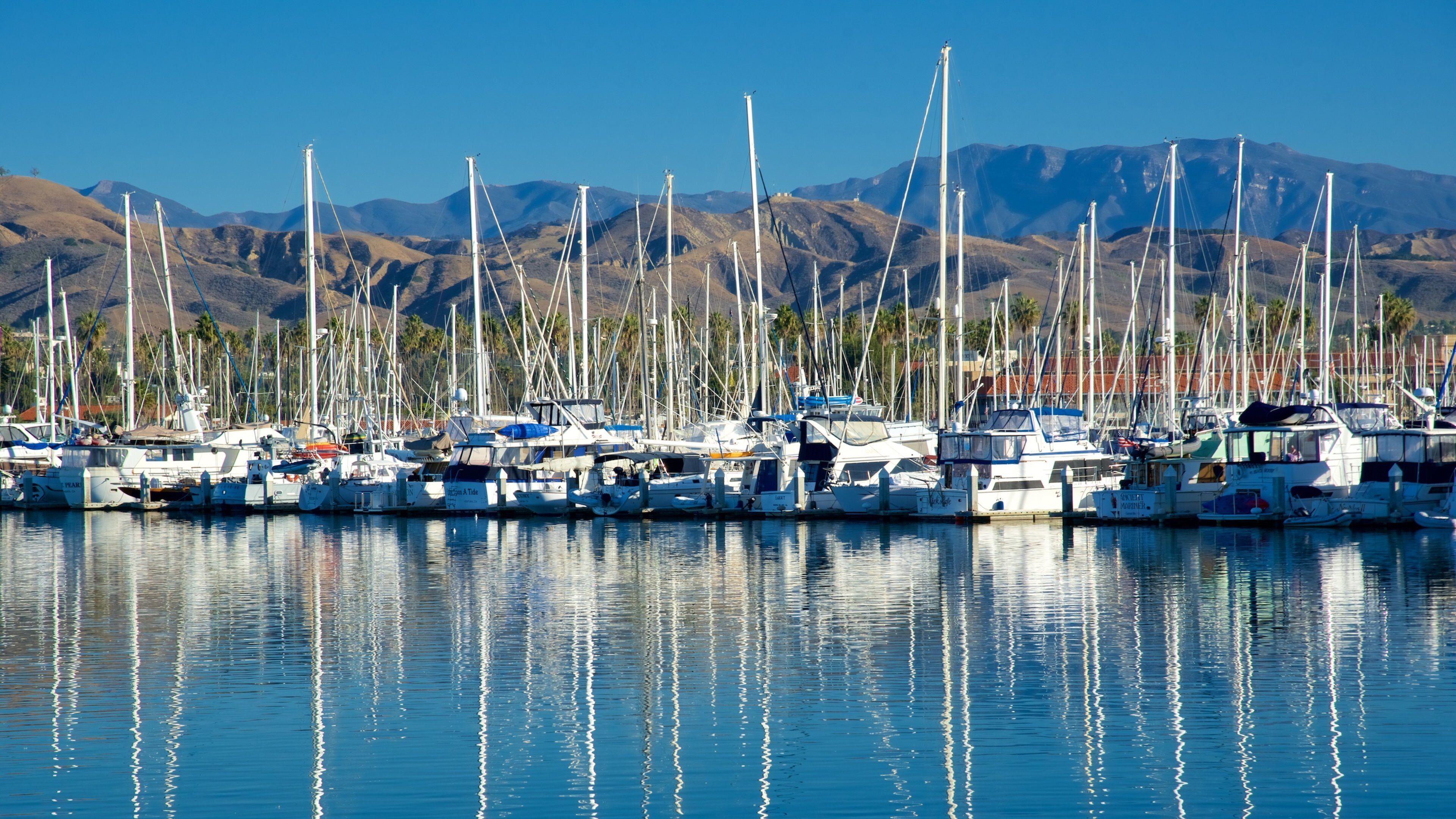 Un port de plaisance où sont amarrés de nombreux voiliers, entouré de montagnes et de palmiers.
