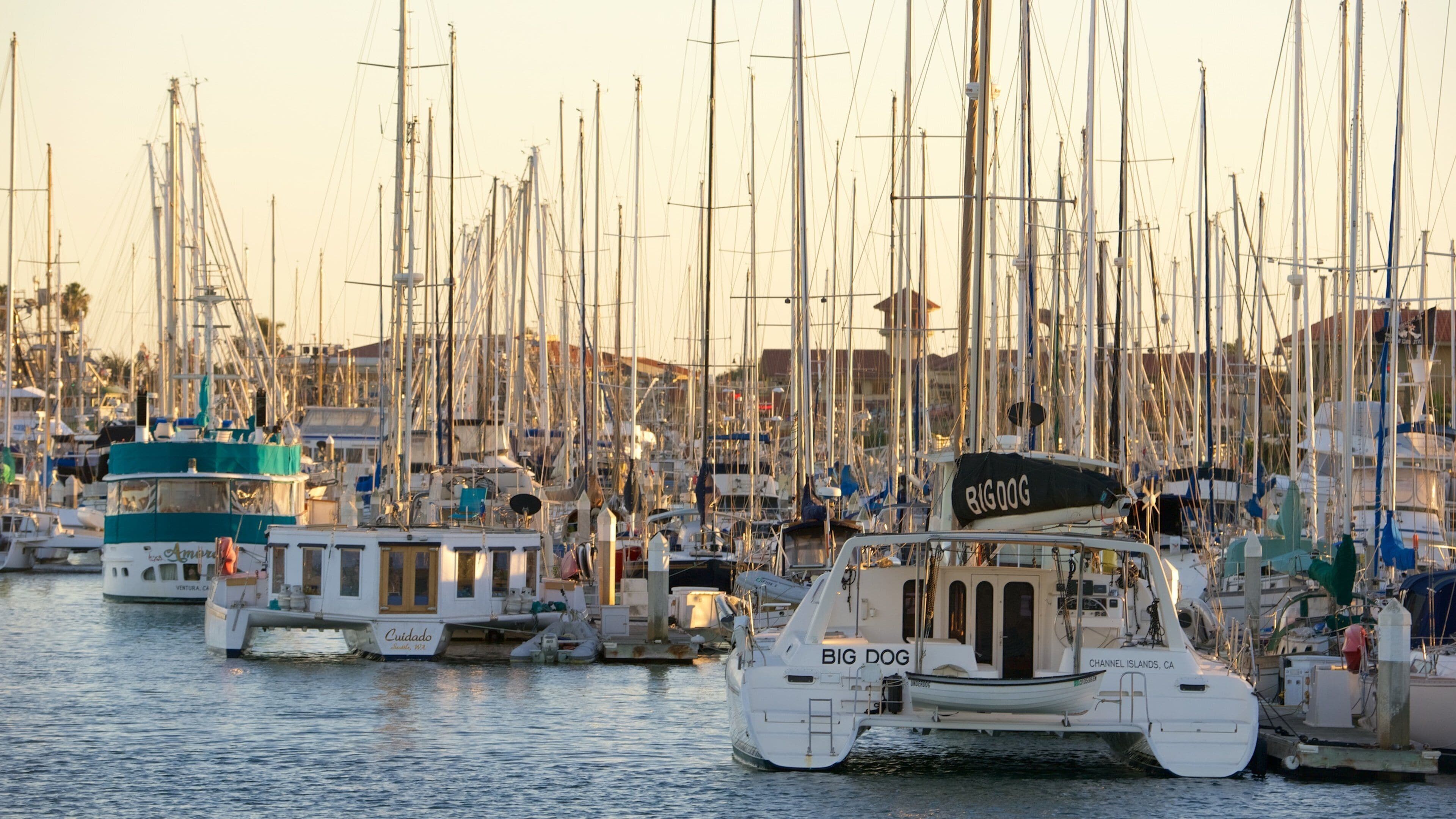 Ventura Harbor featuring a bay or harbour and sailing