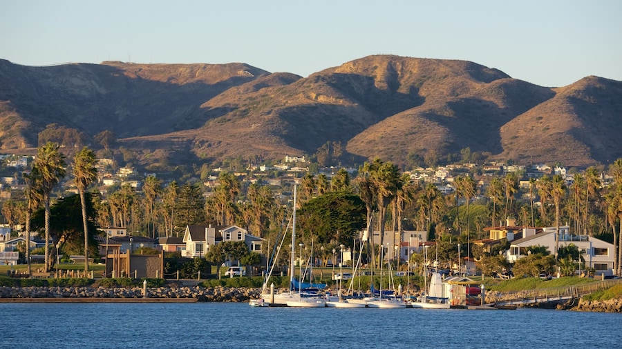 Ventura Harbor showing sailing and general coastal views