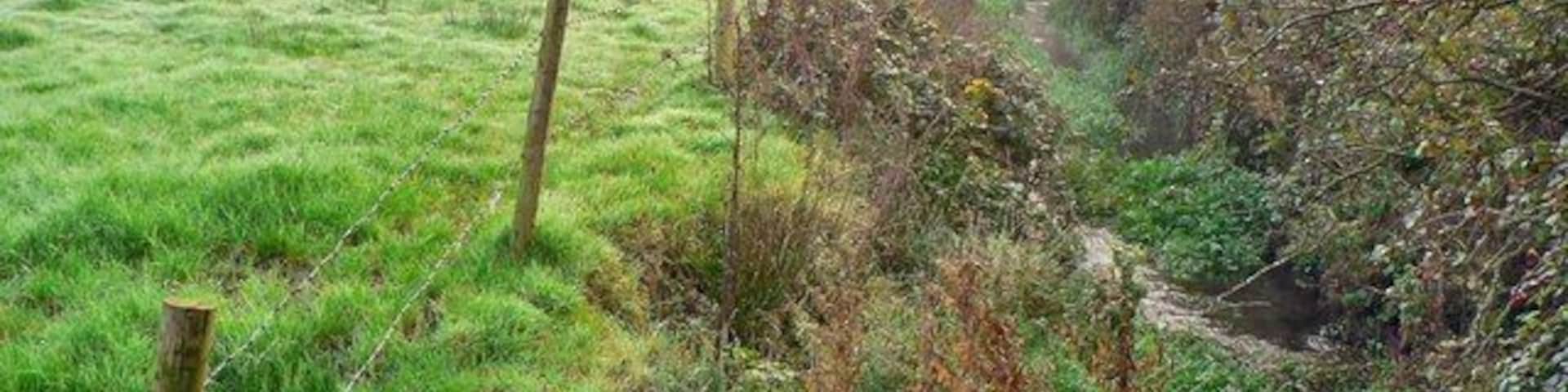 Ditch meets footpath at Newton Moor First autumn colours appearing in the early morning.