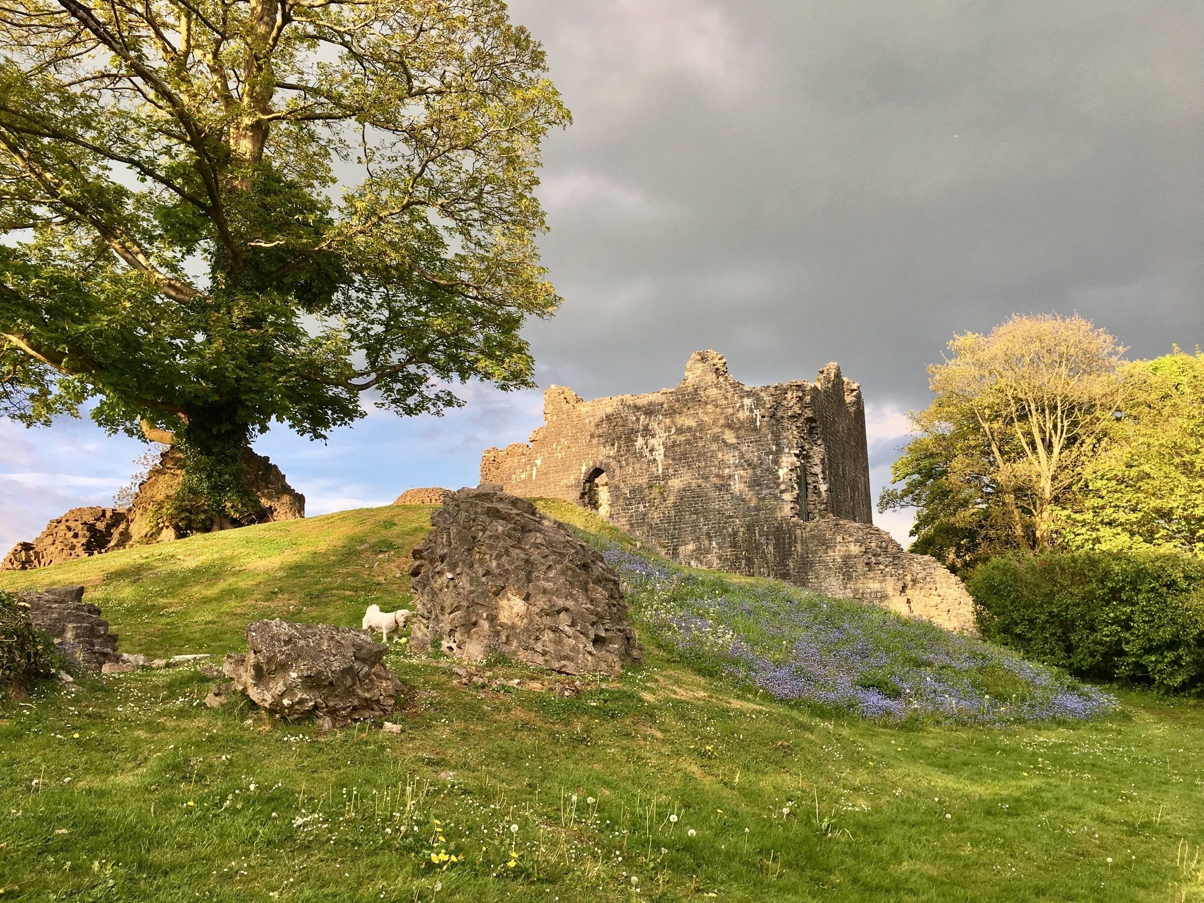 Love this place, so quiet