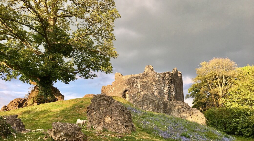 Love this place, so quiet