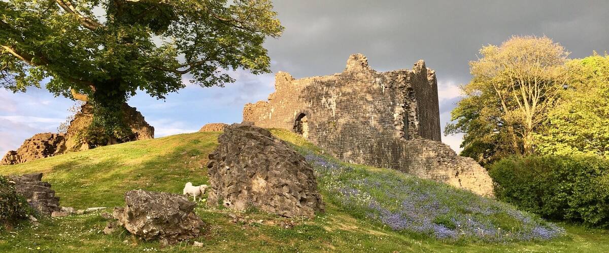 Love this place, so quiet