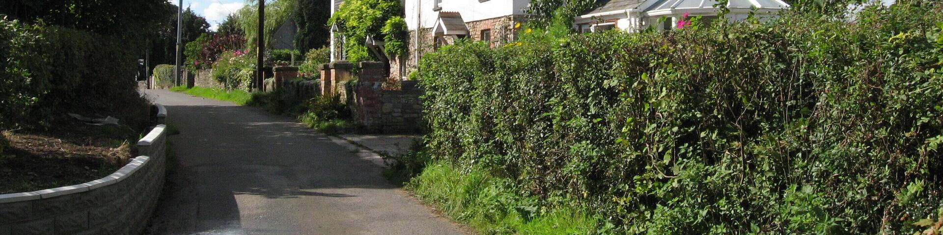 A narrow rural road flanked by lush greenery and a white house with a tiled roof.