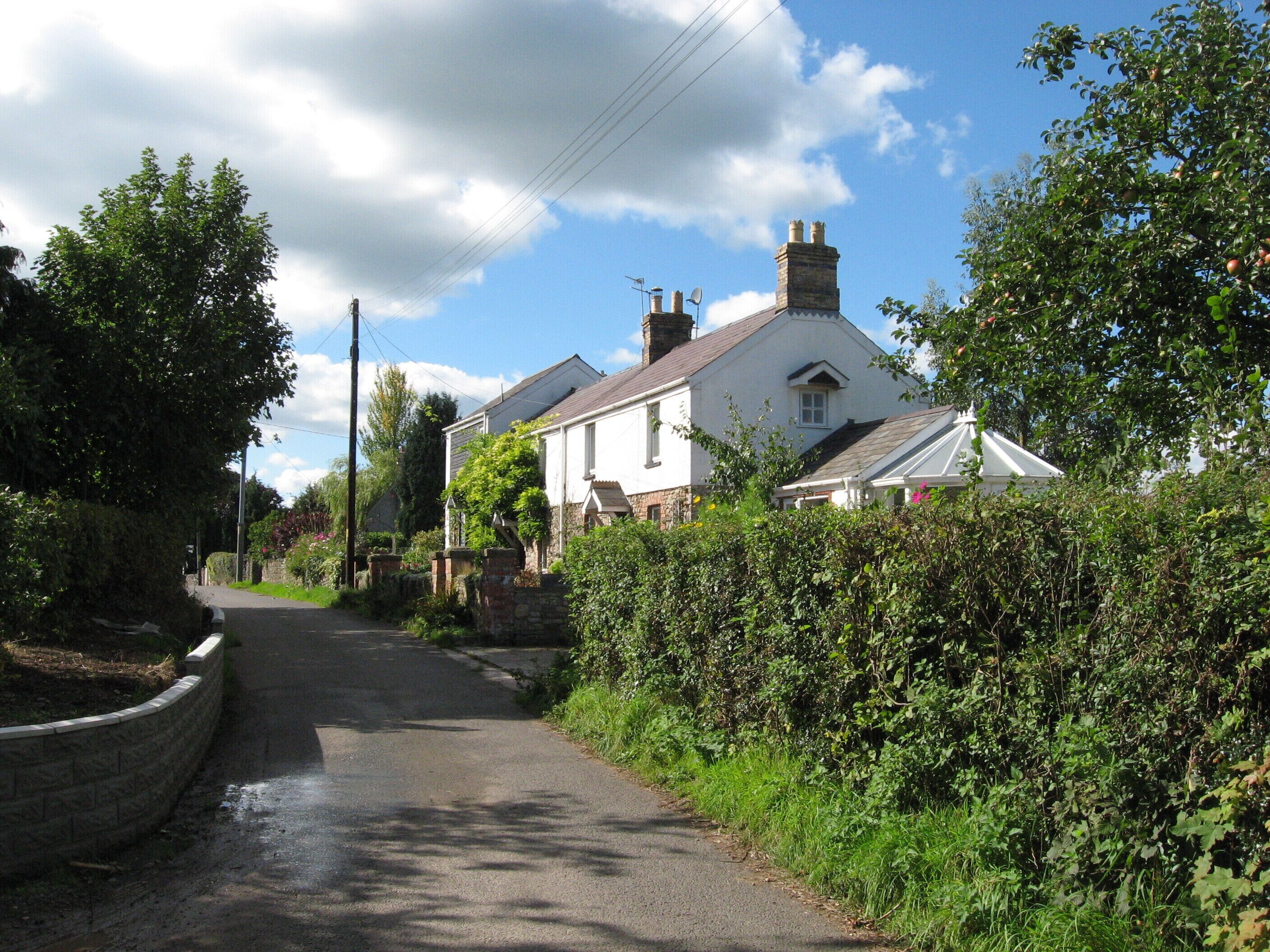 A narrow rural road flanked by lush greenery and a white house with a tiled roof.