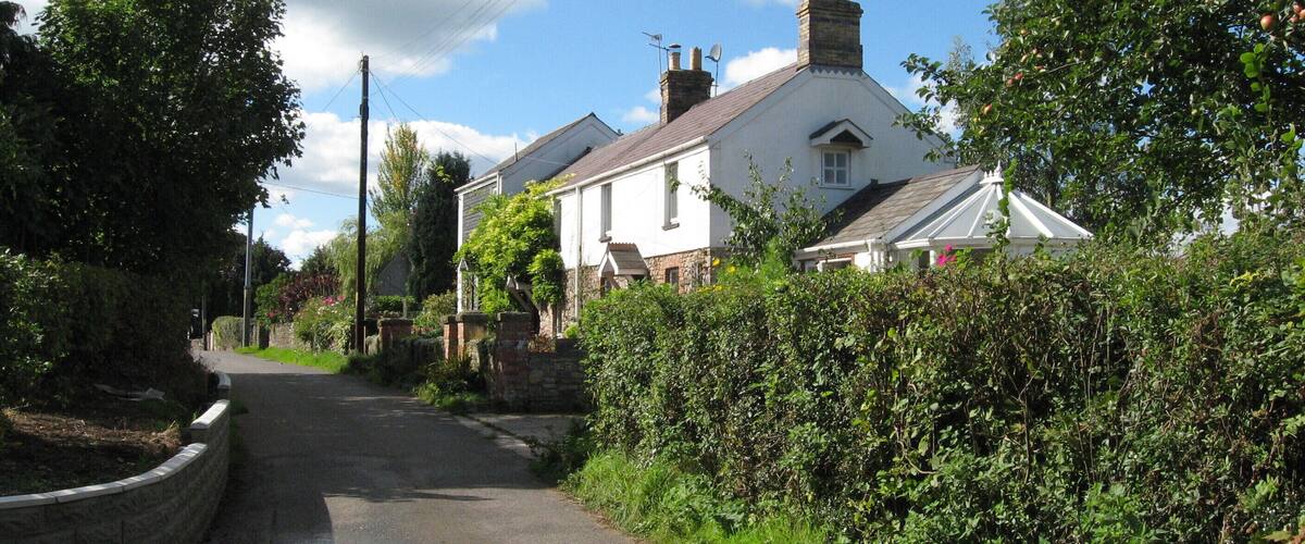 A narrow rural road flanked by lush greenery and a white house with a tiled roof.