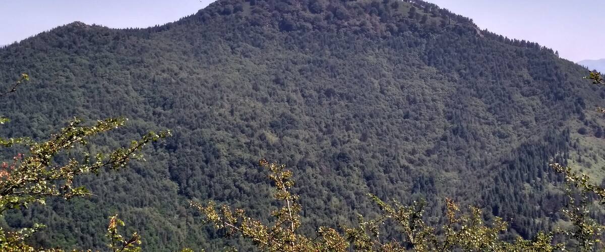 A mountain with dense forest coverage and a clear sky.