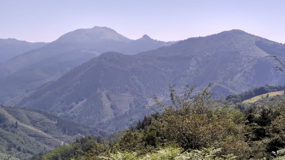 Adarra and Onddi from Arritxieta