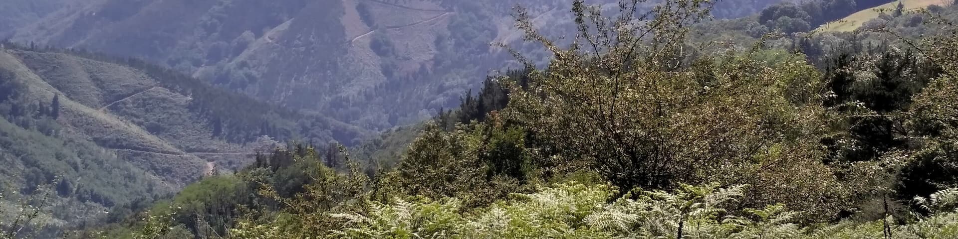 Adarra and Onddi from Arritxieta