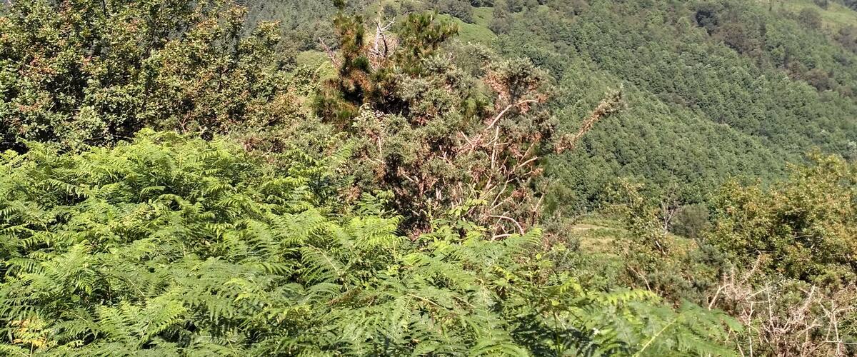 Igorin from Arritxieta