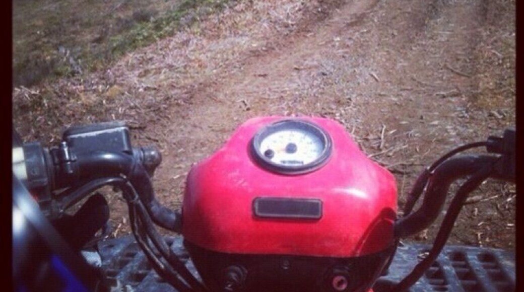 Wanna go for a ride??.. The trails never end around here.. Go all day without seeing another human being. Just bald eagles, deer, the occasional bear.. Nice :)