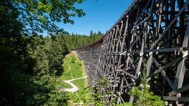 Kinross Train Trestle Bridge near Shawnigan Lake, BC Canada