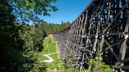 A wooden bridge with a curved design, surrounded by dense forest and a winding road below.