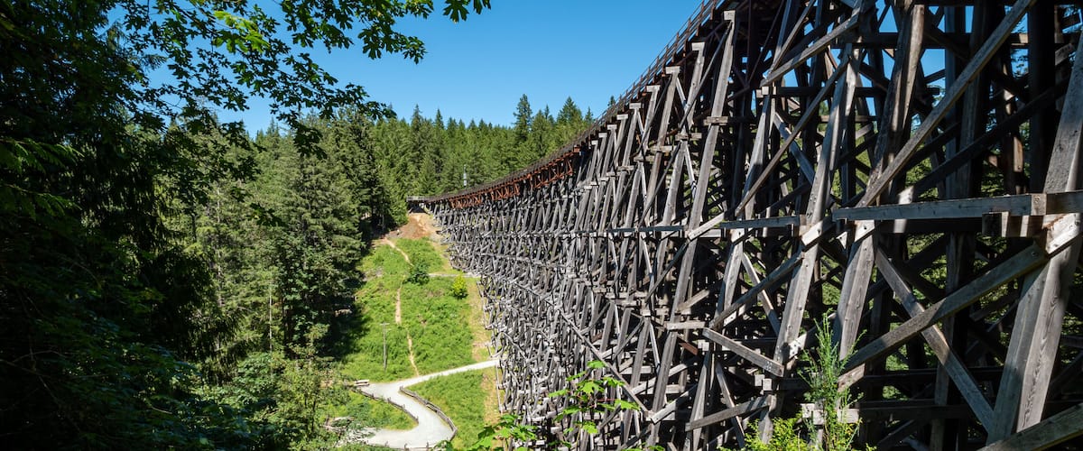 A wooden bridge with a curved design, surrounded by dense forest and a winding road below.
