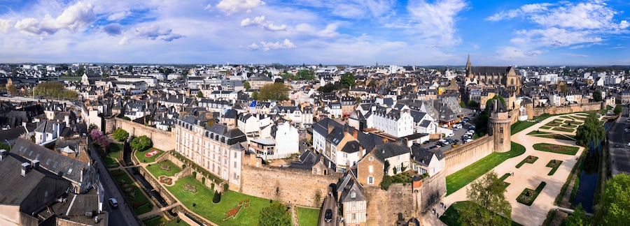 A historic cityscape with a prominent castle, narrow streets, and a mix of traditional and modern architecture.