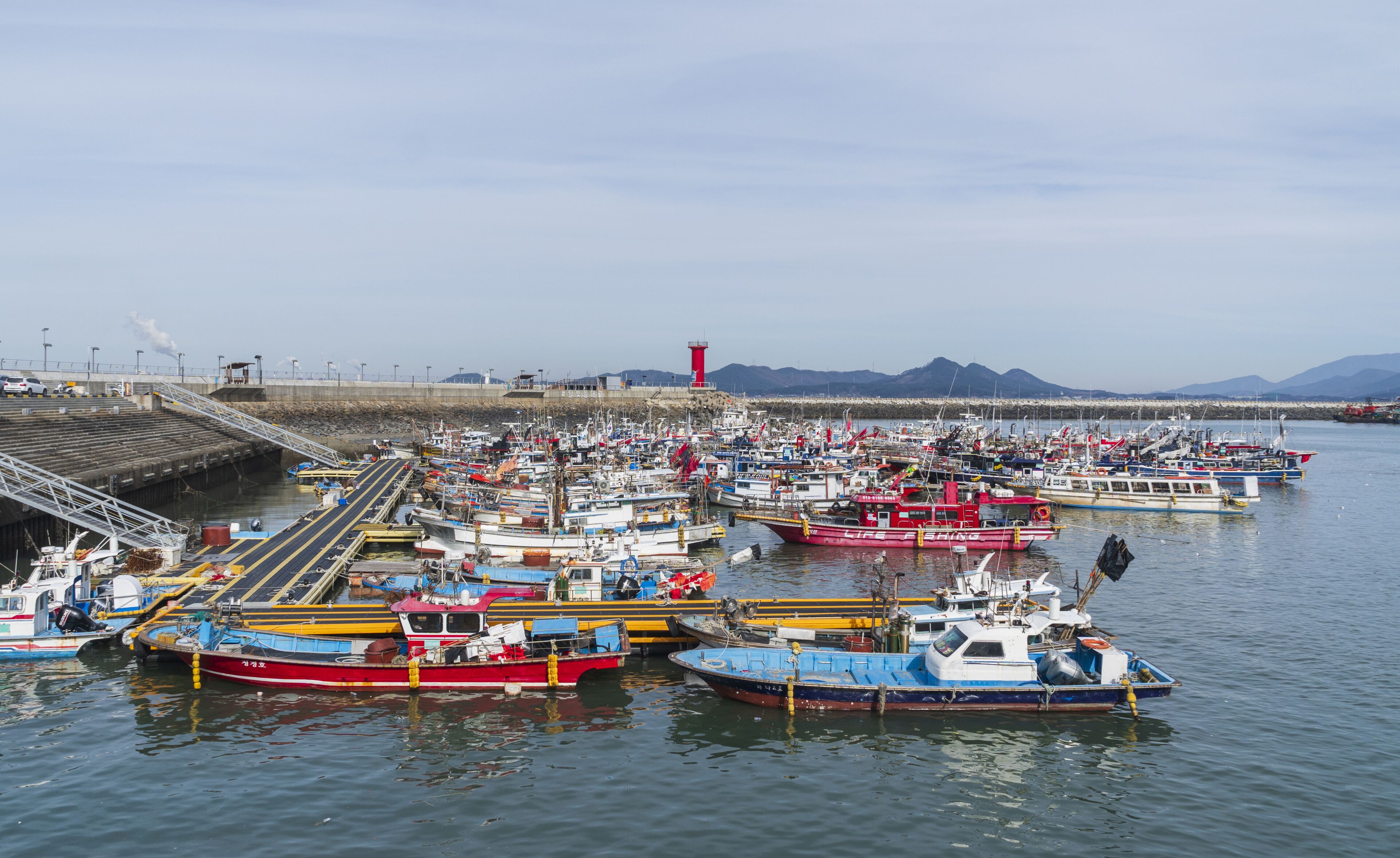 어선,정박,바다,선착장,등대,방파제,대천항,신흑동,보령시,충남