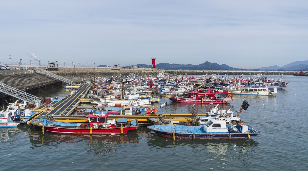 어선,정박,바다,선착장,등대,방파제,대천항,신흑동,보령시,충남
