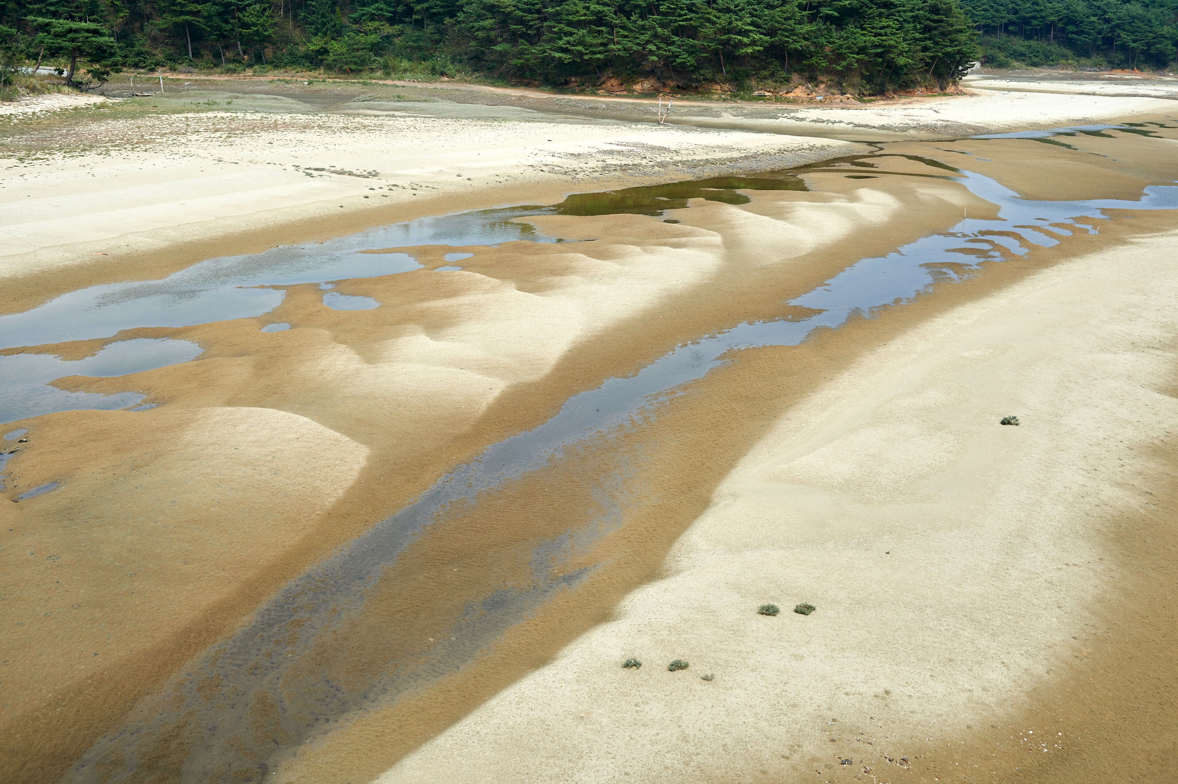 <h2>海滩附近的热门住宿</h2>