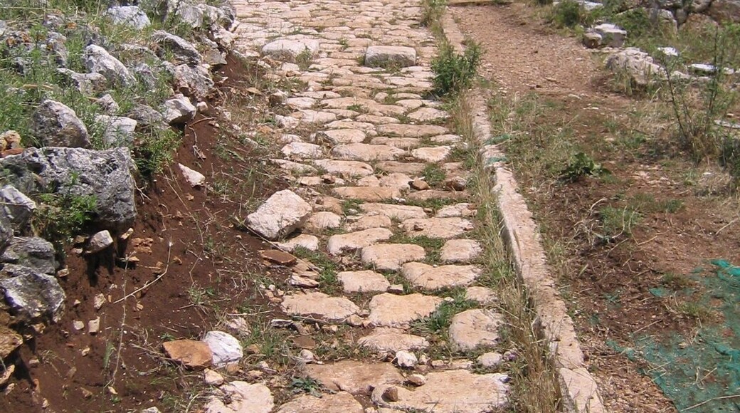 A Roman road in the Republican city of Norba.
