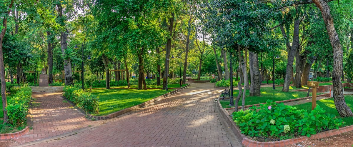 A park with a paved walkway, lush greenery, and a sign indicating a distance of 100m.