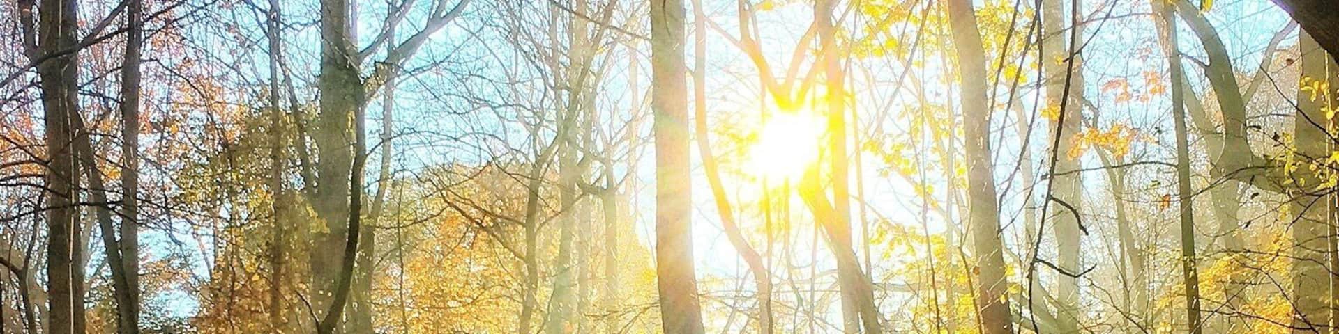 #GreatOutdoors!
My favorite trail right at my back yard!