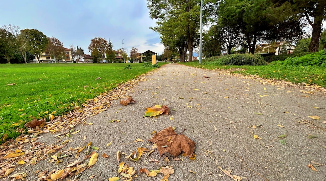 View of autumn leaves in Kırkpınar, Sapanca, Turkey.