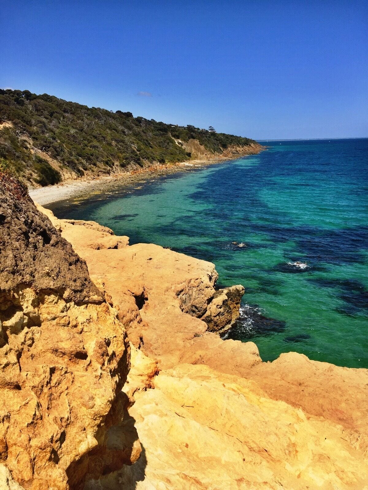Victoria adventuring #coastline #ocean #wanderlust
