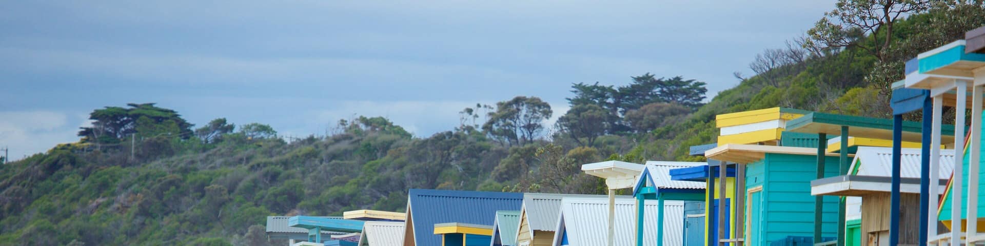 Safety Beach welches beinhaltet Sandstrand
