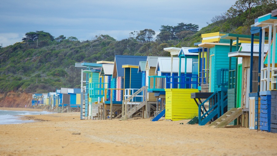 Safety Beach featuring a sandy beach