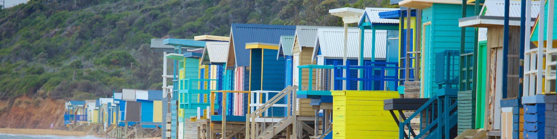 Safety Beach which includes a sandy beach