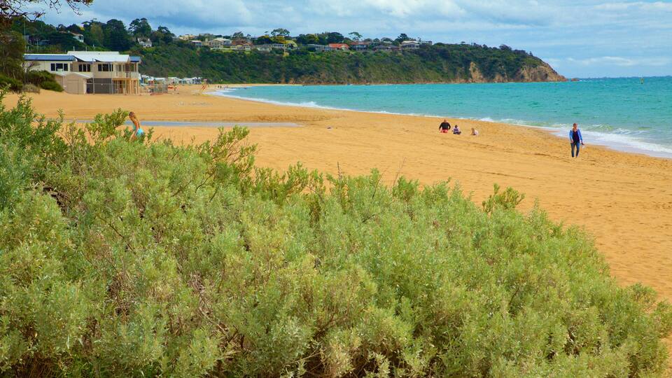 Uma praia arenosa com pessoas tomando sol e caminhando, cercada por vegetação e casas ao fundo.