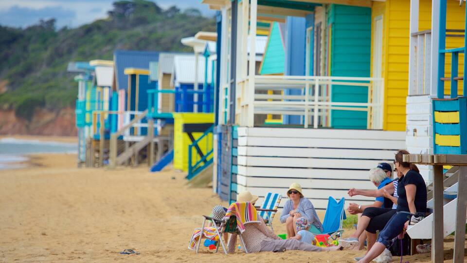 Safety Beach caracterizando paisagens litorâneas assim como um grande grupo de pessoas