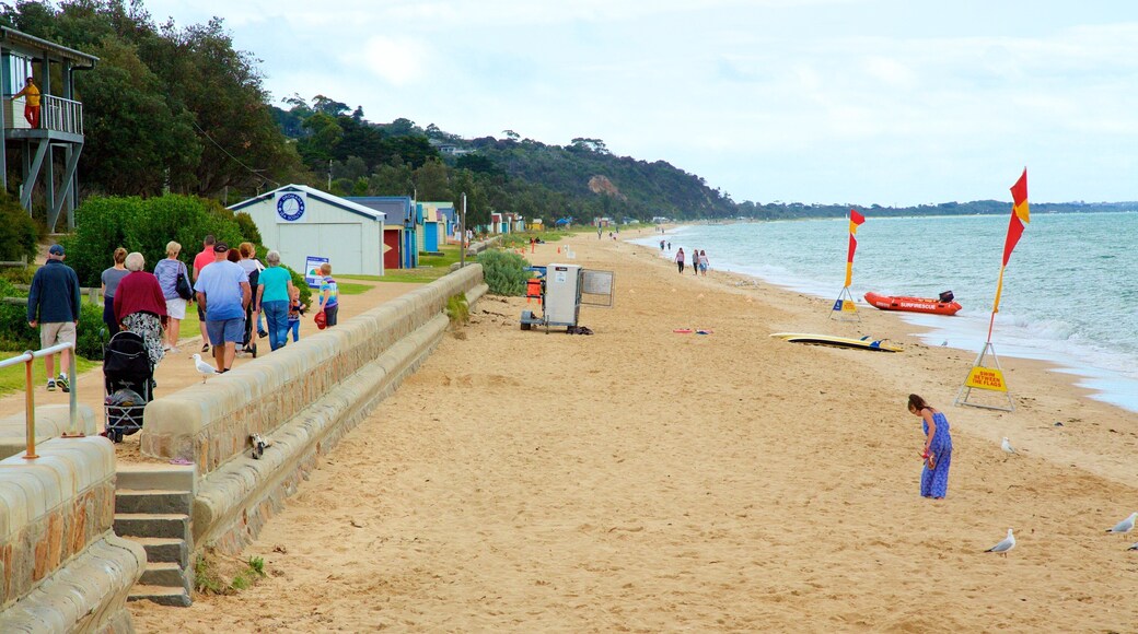 Dromana featuring a sandy beach as well as a large group of people