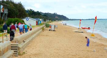 Dromana cho thấy bãi biển cát cũng như nhóm lớn